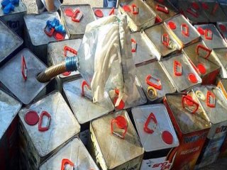 10 Numara Yağ, Doğayı Yok Ediyor