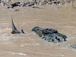 80 Yaşındaki 6 Metrelik Canavar!