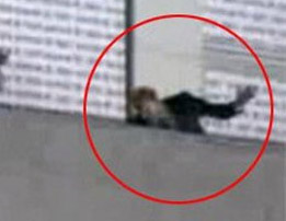 Bilal Erdoğan Balkonda Düşme Tehlikesi Geçirdi