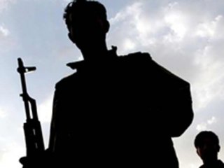 Hakkari'de Bir PKK'lı Yakalandı