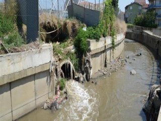 Kadıköy'de Korkutan Tehlike!