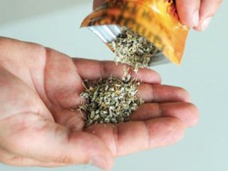 Bonzai Kimyasal Bir Silah Mı?