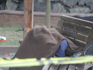 Bonzaiye Bir Kurban Daha!