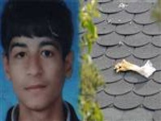 Bonzaiye Bir Kurban Daha