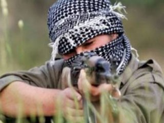 PKK, Almanya'dan Silah İstedi