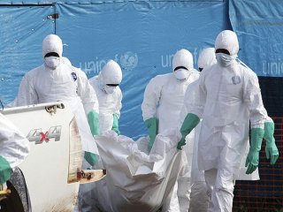 Deneysel ilaç Ebola virüsünde işe yarıyor
