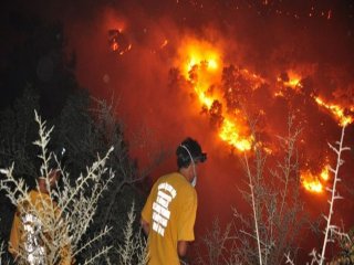 Muğla'nın Ciğerleri Yandı!