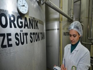 Bakanlık Sütte Hatayı Affetmedi