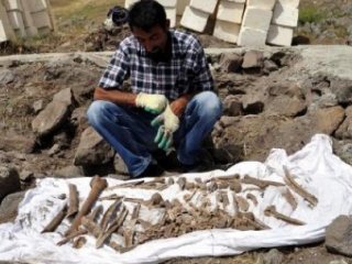 Mahkemeden Dersimle İlgili Soruşturma Kararı