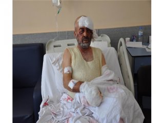 Aç Kurt 6 Kişi Hastanelik Etti