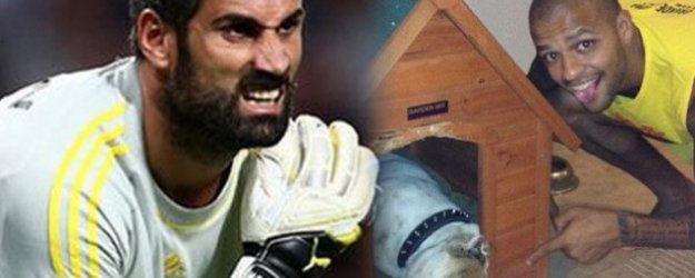 Melo'dan Volkan'a Sert Cevap: Pitbull Kadar...