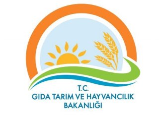Bakanlık'ta "Beygir" Skandalı