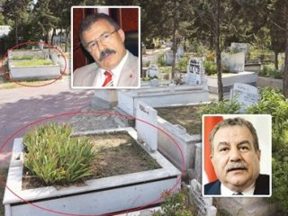 Komşu Oldular Ama Bildiğiniz Gibi Değil!