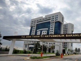 Bakanlık İnşaatı Çöktü!