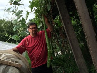 Bu Kabaklar Görenleri Şaşırtıyor