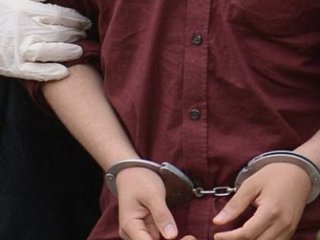 Van'da Bir Terörist Teslim Oldu