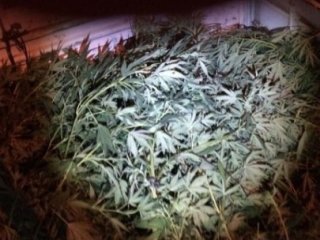 Polisler Görünce Şok Oldu!