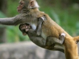 Paraları Çalıp insanlara Dağıttı!