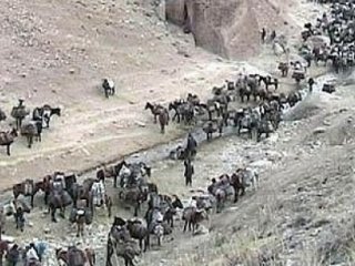 Son Bir Haftada 3 Bin 684 Kişi