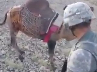 Deveden ABD Askerine Müthiş Cevap!