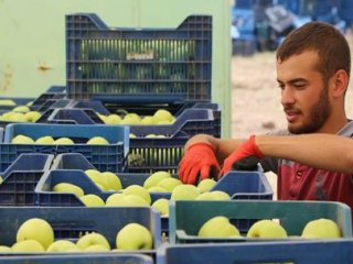 Üreticisinin 10 Yıl Sonra Yüzü Güldü