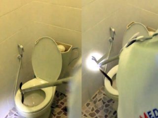 Klozetten Yılan Çıktı