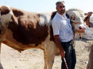 En Güzel Kurbanlık Erdoğan'a