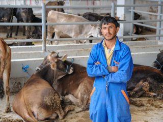 Kurbanlıklar Yeni Sahiplerini Bekliyor