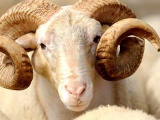 Kurban Bayram Tatili Uzadı Mı?