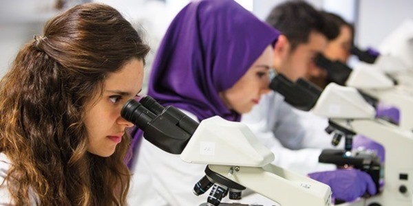 Biruni Üniversitesinde Araştırma, İstatistiksel Danışma ve Değerlendirme     Merkezi Prof.Dr.Yusuf Çelik Başkanlığında Hizmete Başladı