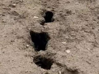 Bolvandin'de Korkutan Yarıklar