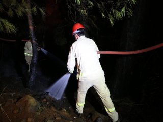 Antalya'da Sazlık Alanda Yangın