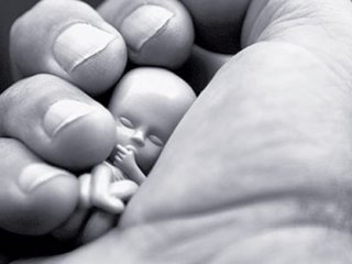 Kürtaj Yasağından Vazgeçilince Bakan İstifa Etti