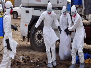 ABD: 1,4 Milyon Kişi Ebola'ya Yakalanabilir