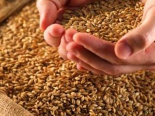 C.Başkanından Kıtlık Uyarısı!