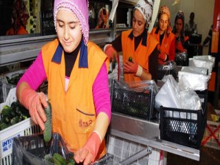 Rusya'nın Ambargosu Üreticiyi Umutlandırdı