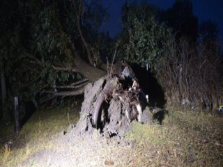 Ağrı'da Hortum Ağaçları Söktü