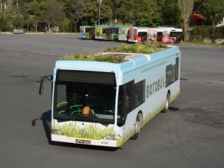 BOTOBÜS'le Yollarda