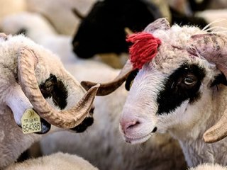 Bakanlık Uyardı! 1051 Lira Cezası Var