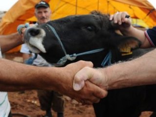 Bakanlık Uyardı: İhbar Edin!