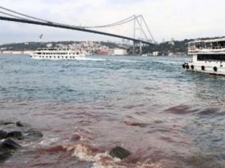 Boğaz Kırmızıya Boyandı