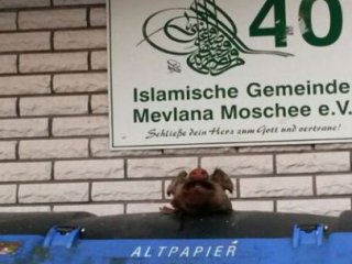 Almanya'da Çirkin Provokasyon