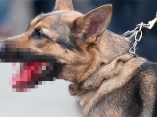 6 Aylık Bebeği Öldürdü