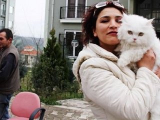 Yargıtay'dan "Kedi" Kararı