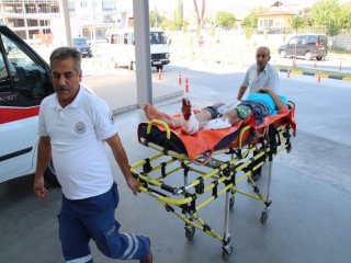 Kurban Kesim Bilançosu; 1 Ölü, 79 Yaralı