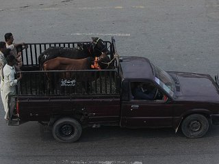 Pakistan’da Kurban Bayramı bugün başladı