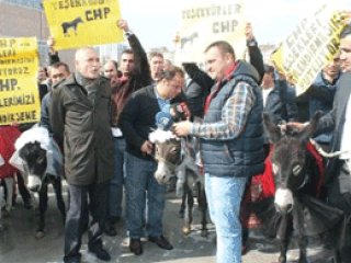 Kılıçdaroğlu’nun Nikah Şahidi Olmasını İstediler