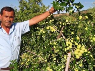 Çiftçiler Ürünlerini Markette Satacak