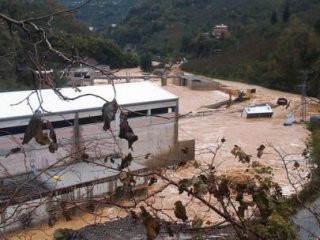 Giresun'u Sel Yolları Kapattı