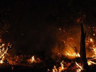 Muğla'da Korkutan Orman Yangını